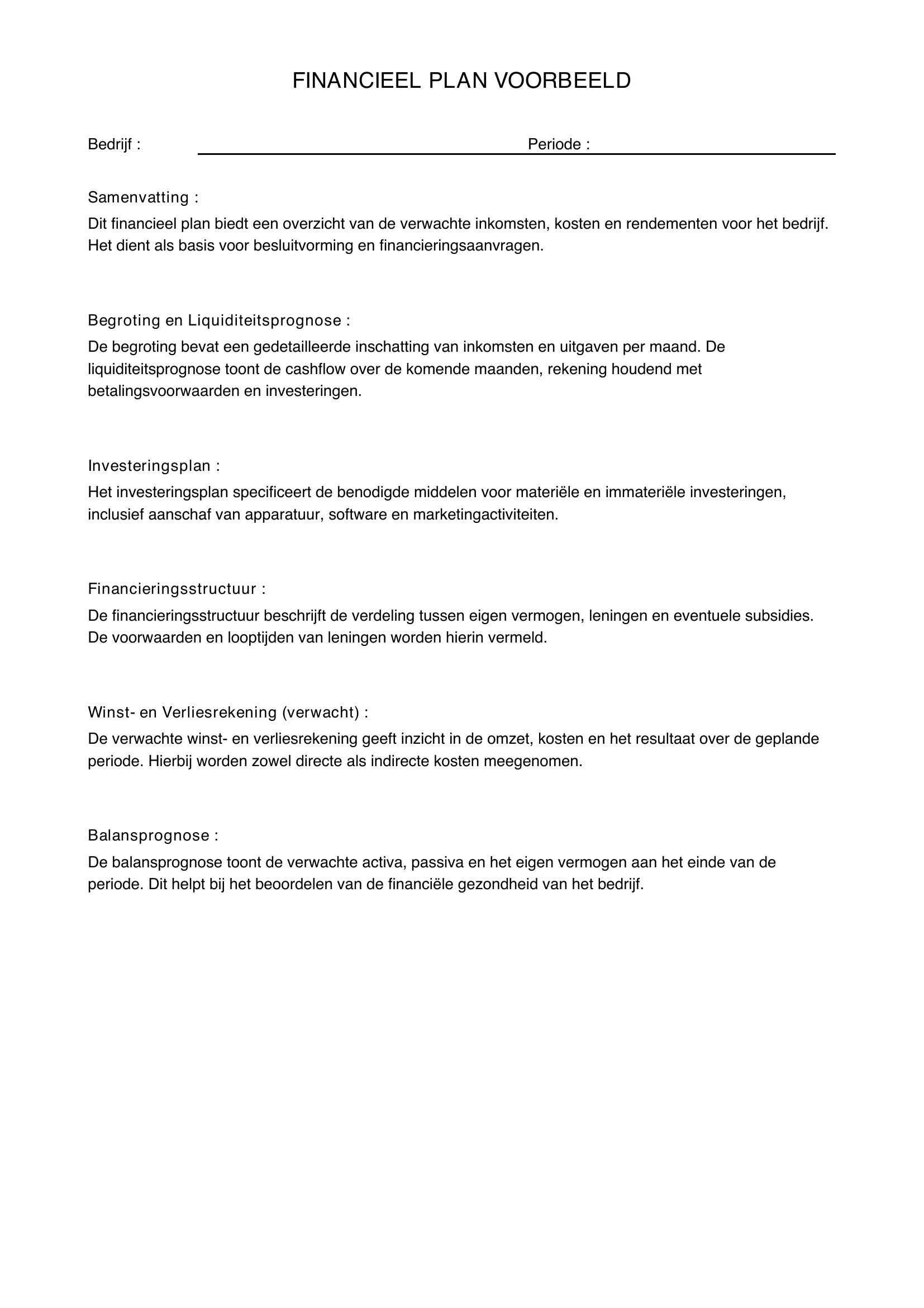 Financieel Plan Voorbeeld