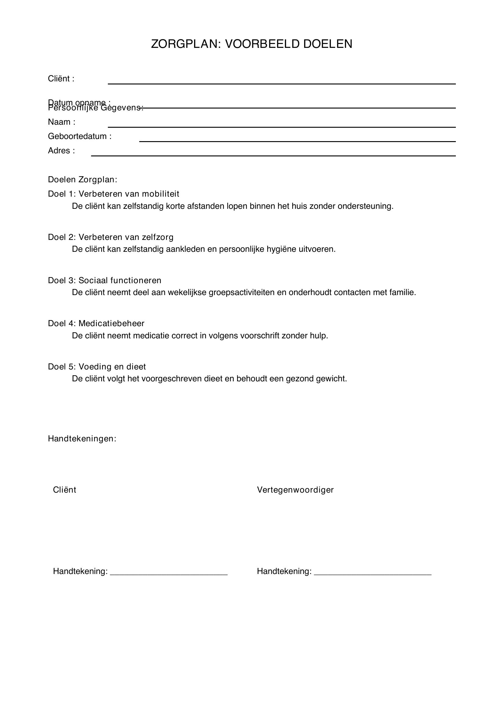 Zorgplan Doelen Voorbeeld
